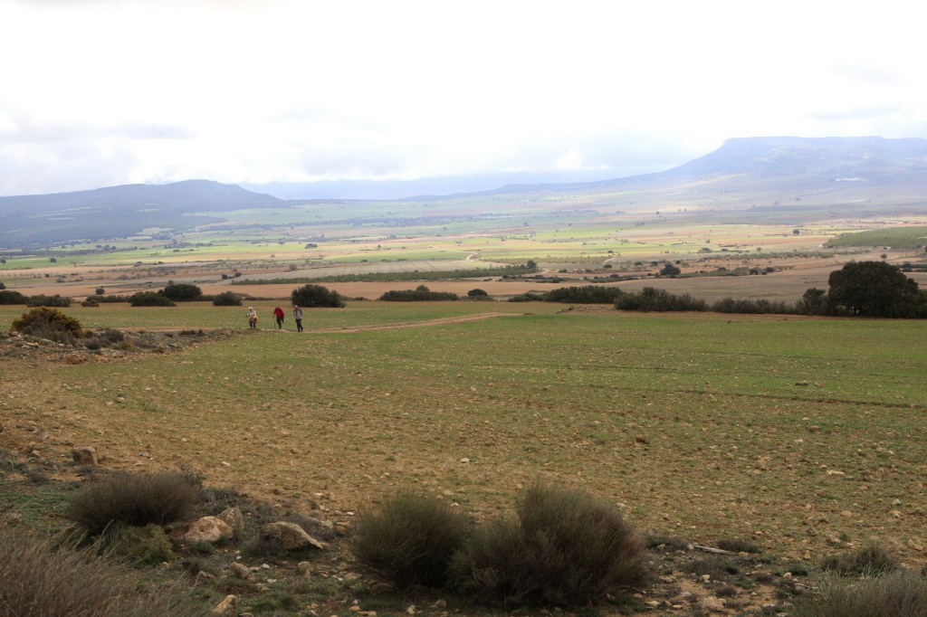 ruta senderismo alpera albacete  04