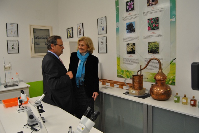 bayod laboratorio jardin botanico DSC_0494