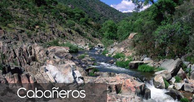 cabañeros especial turismo