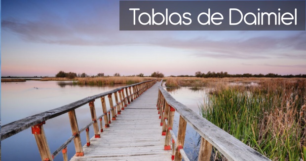 tablas de daimiel especial turismo