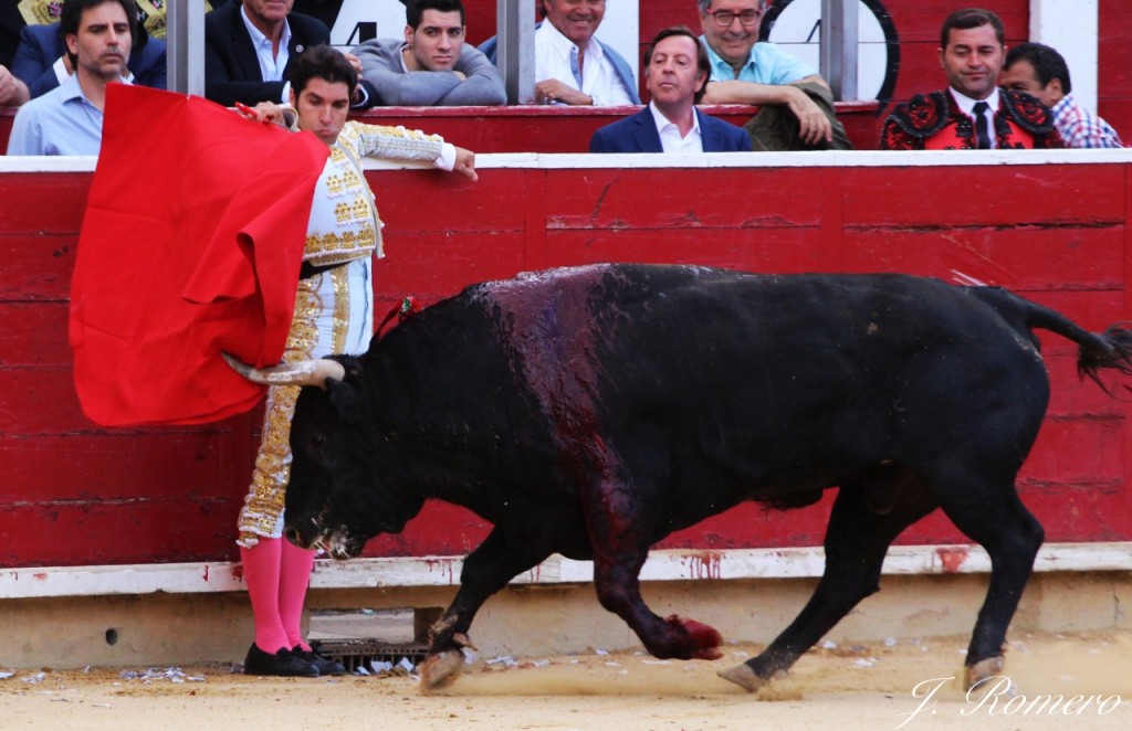 Ponce perera cayetano corrida asprona albacete 2015 18