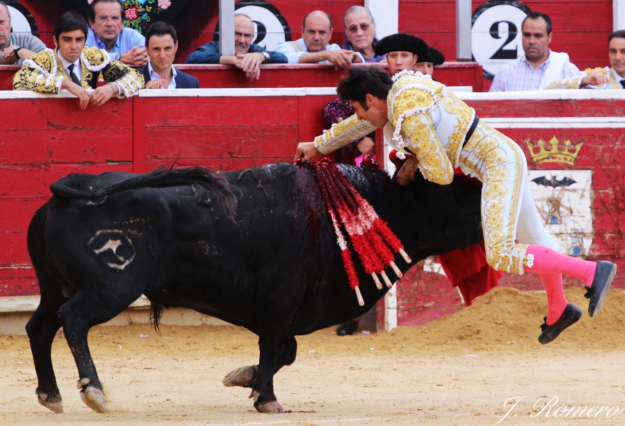 Ponce perera cayetano corrida asprona albacete 2015 19