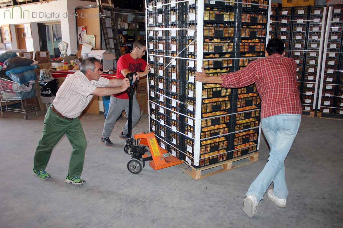 banco_de_alimentos_Noticias_Albacete_2015 (17)