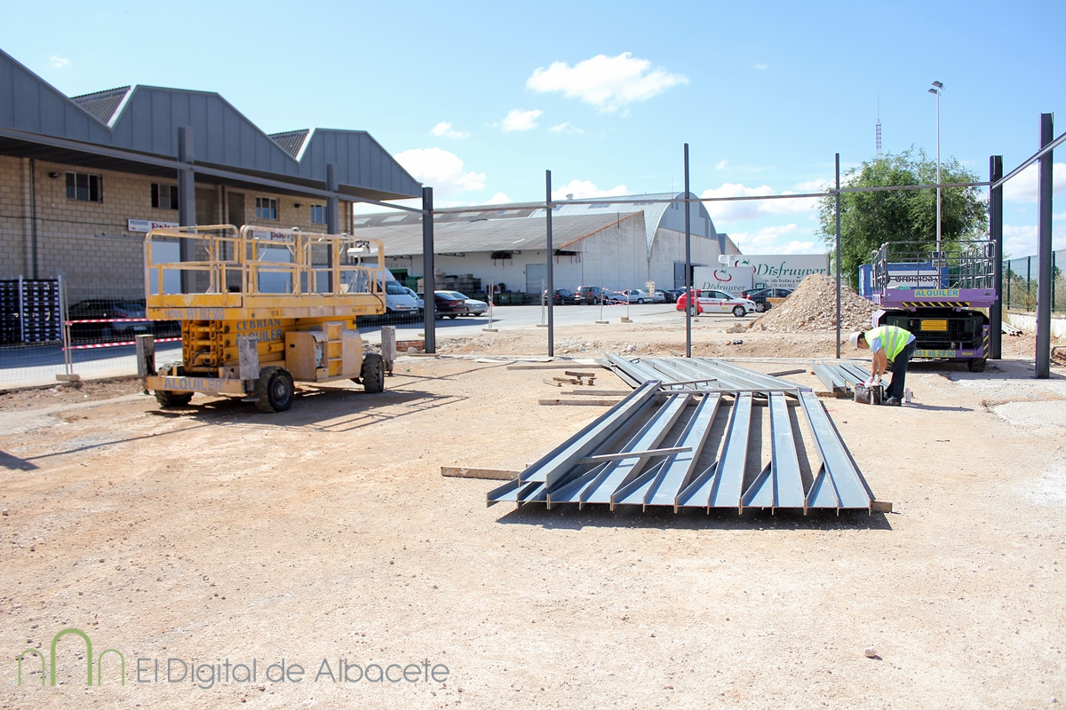 banco_de_alimentos_Noticias_Albacete_2015 (19)