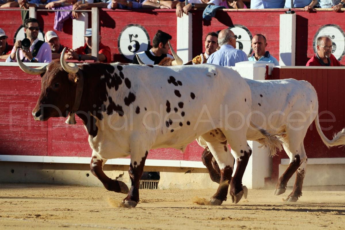Fandi Castella y Manzanares Feria Albacete Toros 35