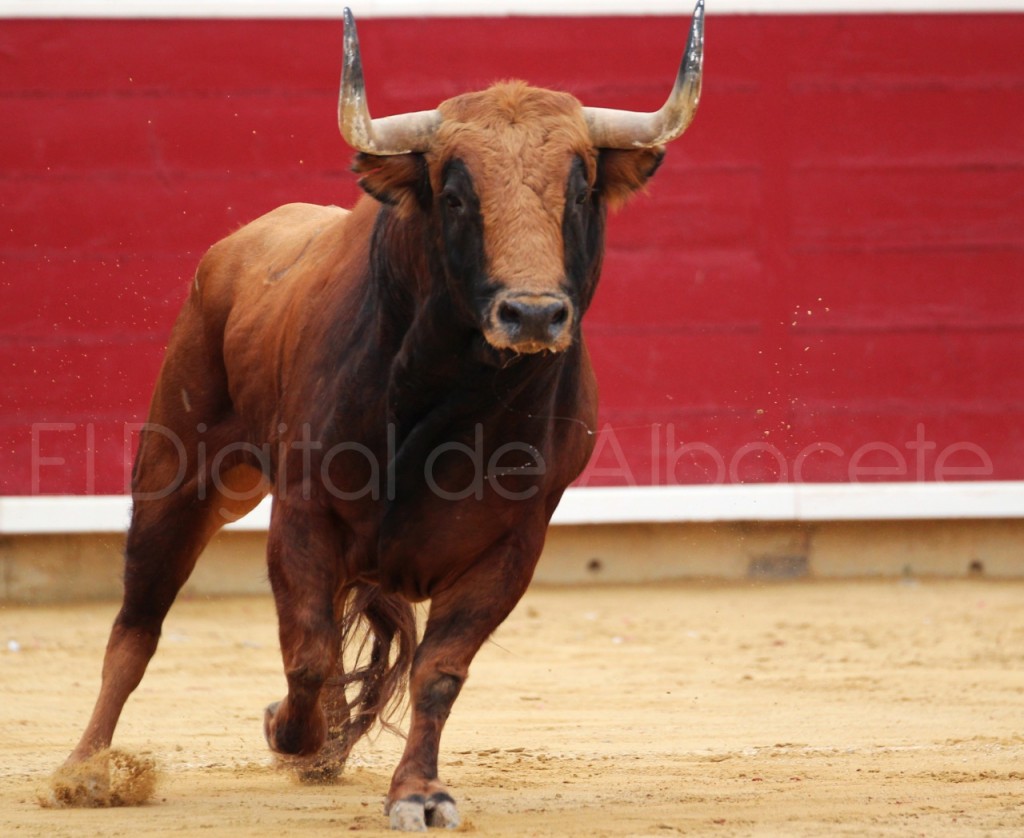 urdiales alamo y Garrido Feria Albacete 2015 toros 34