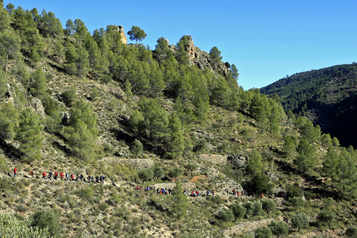 noticias provincia albacete