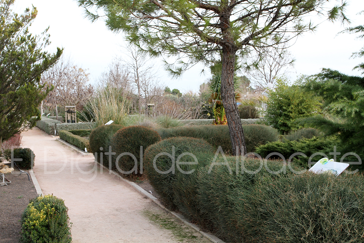 Noticias Albacete