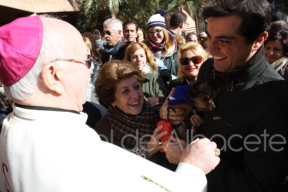 14_SAN_ANTON_NOTICIAS_ALBACETE