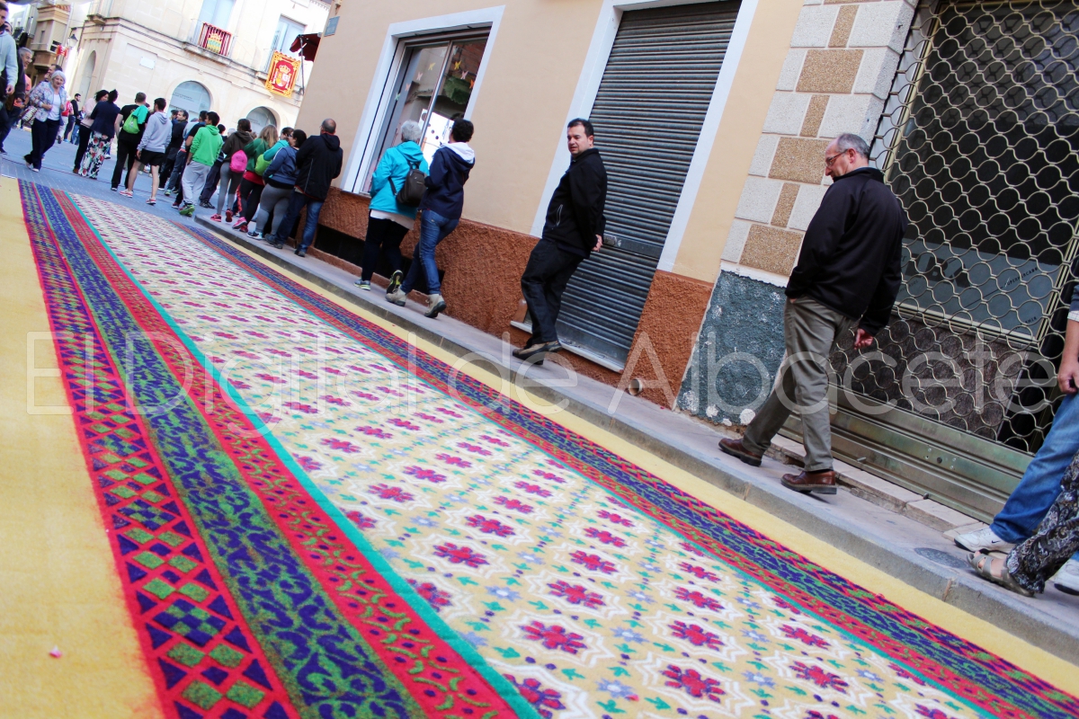Alfombras de Serrin Elche de la Sierra Albacete  2016  47