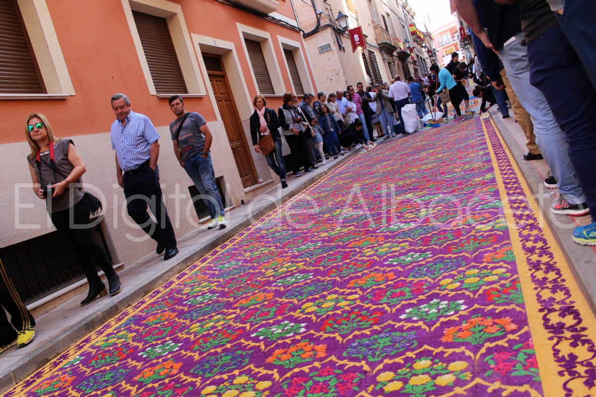 Alfombras de Serrin Elche de la Sierra Albacete  2016  48