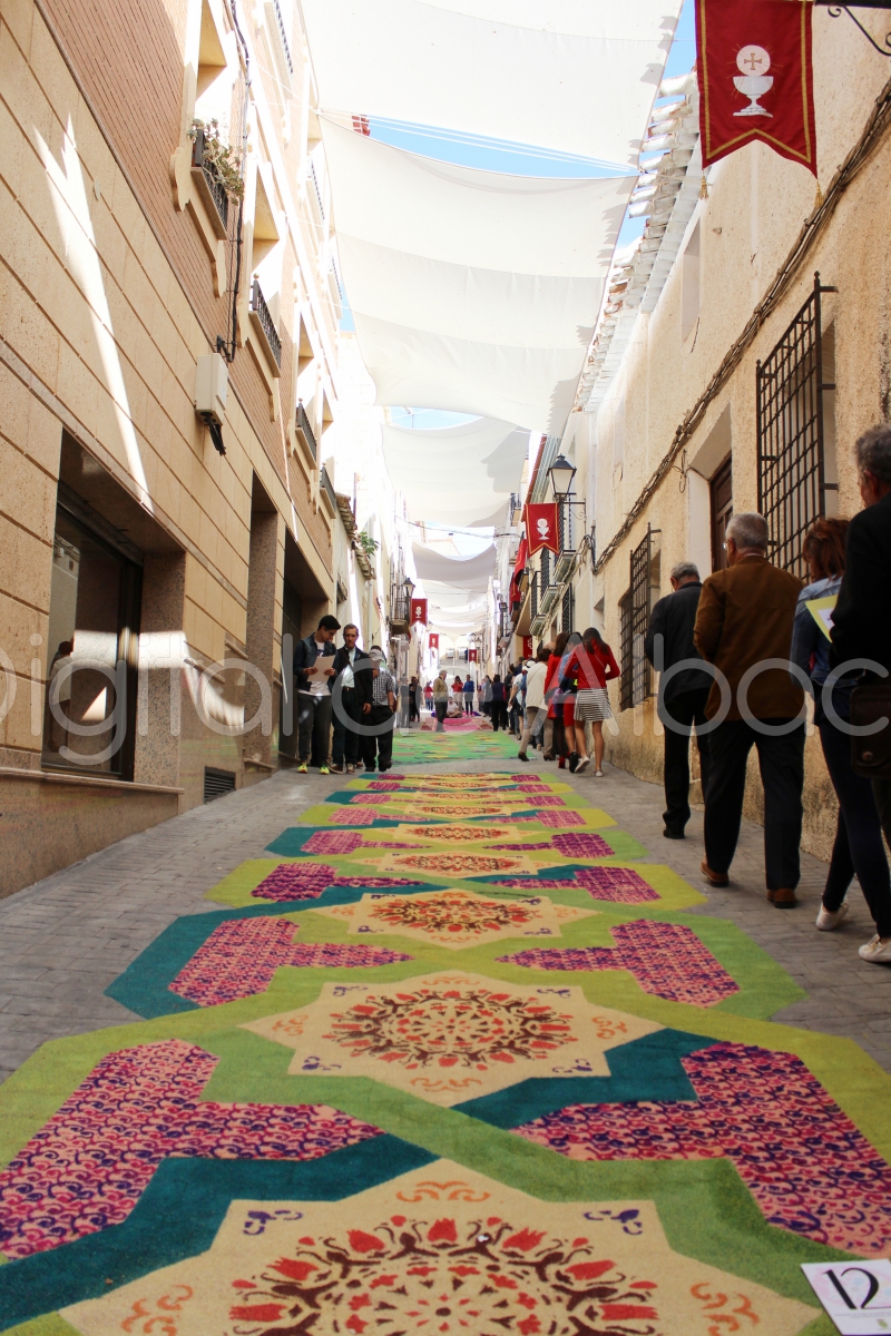 Alfombras de Serrin Elche de la Sierra Albacete  2016  53