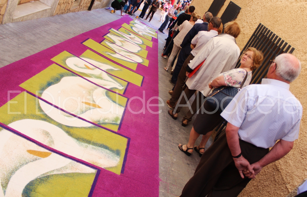 Alfombras de Serrin Elche de la Sierra Albacete  2016  58