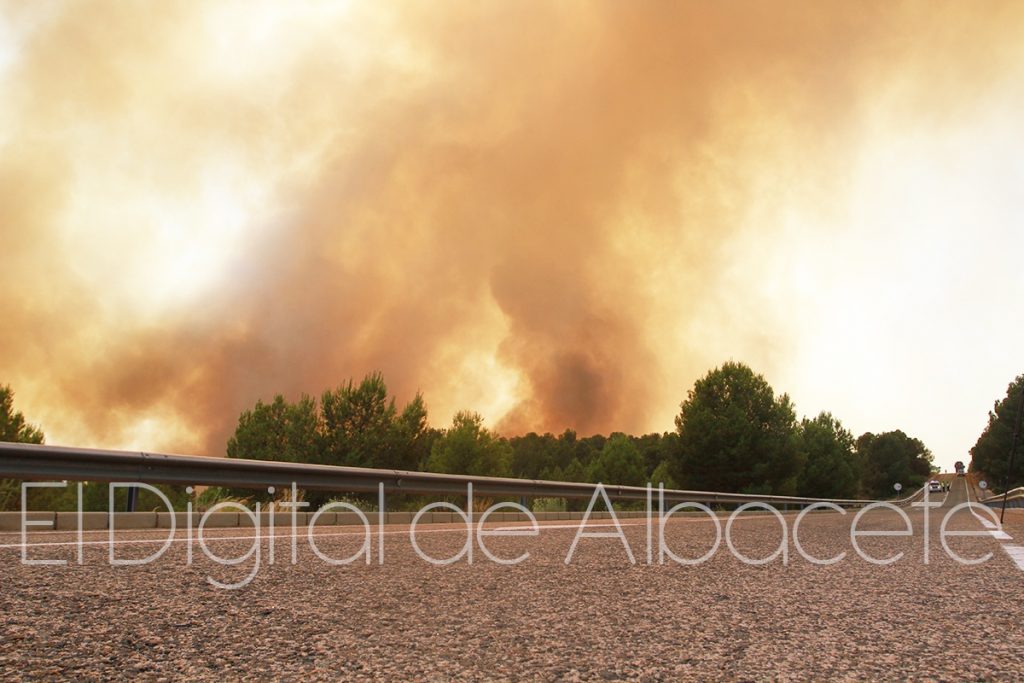 incendio lietor NOTICIAS ALBACETE IMG_1571-07