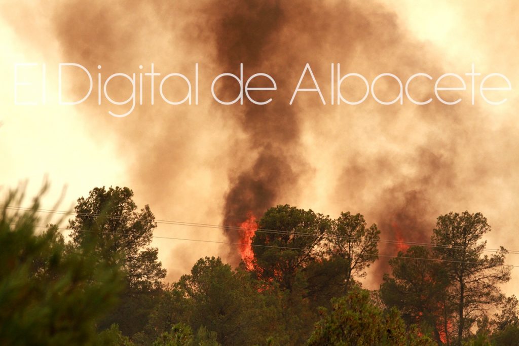 incendio lietor NOTICIAS ALBACETE IMG_1617-10