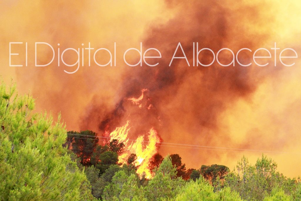 incendio lietor NOTICIAS ALBACETE IMG_1648-13