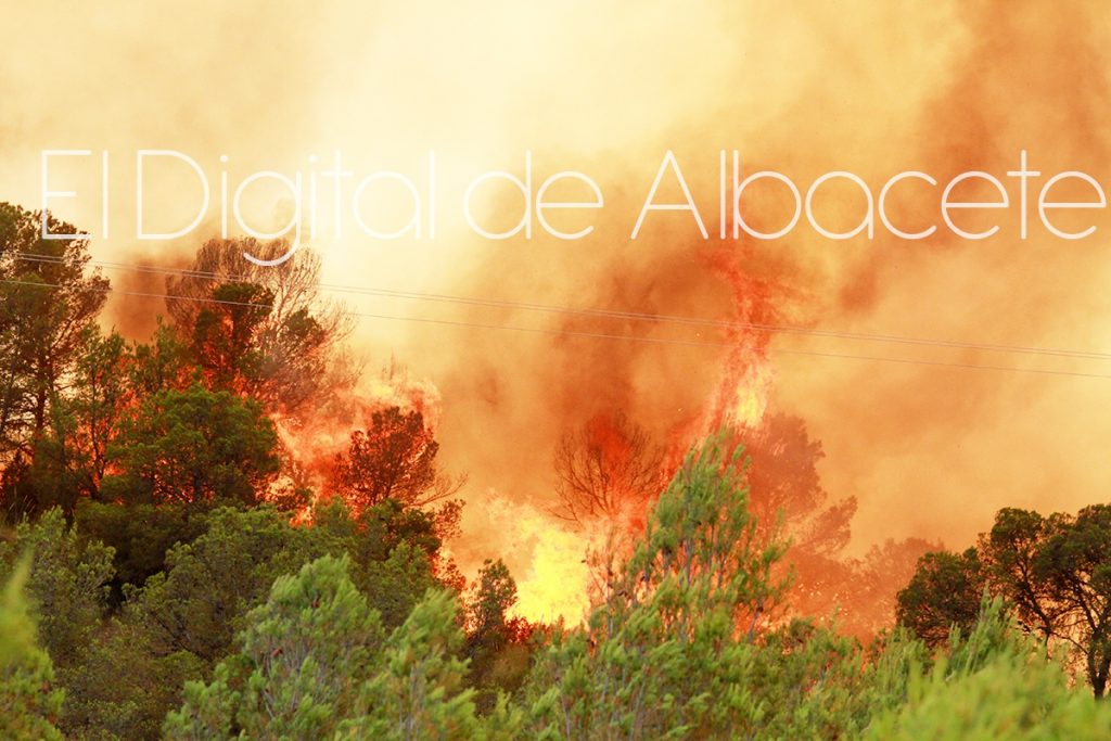 incendio lietor NOTICIAS ALBACETE IMG_1655-14