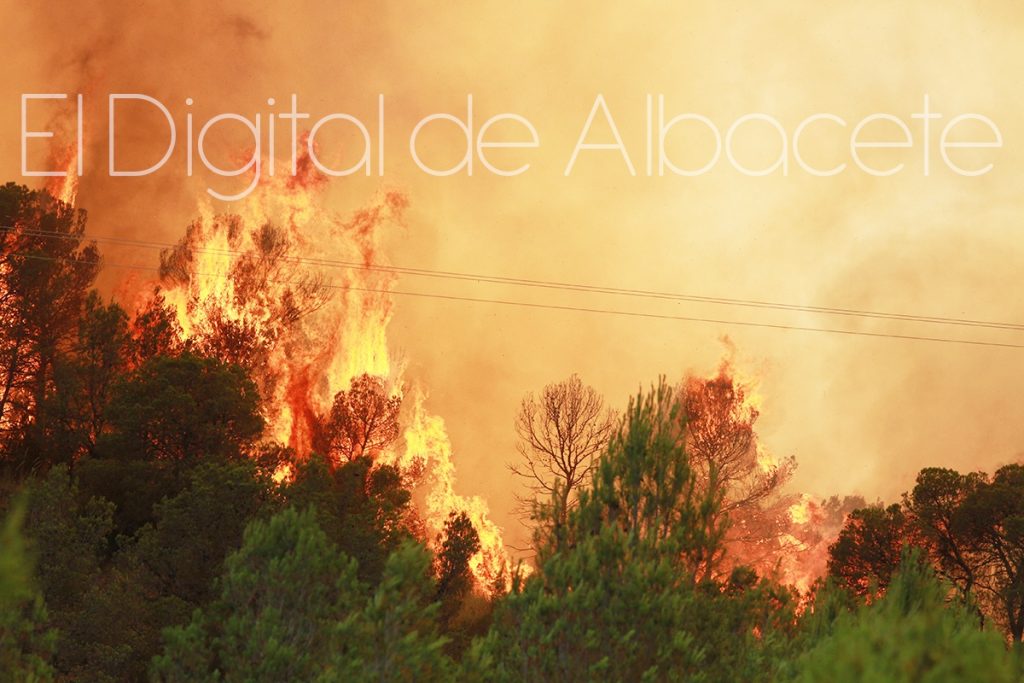 incendio lietor NOTICIAS ALBACETE IMG_1670-15