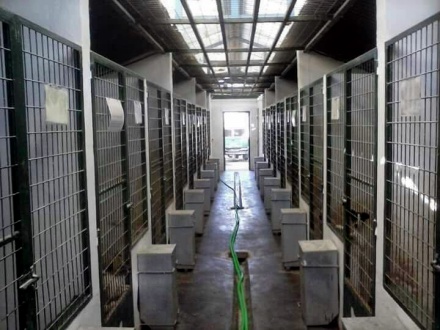 Centro Recogida Animales Hellin425228613_7638072264663860695