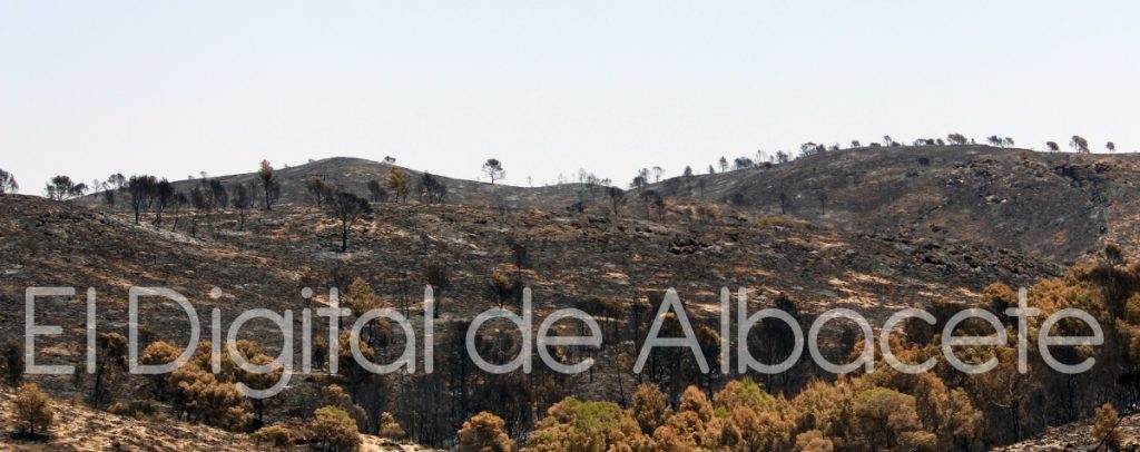 incendio lietor 2016 10