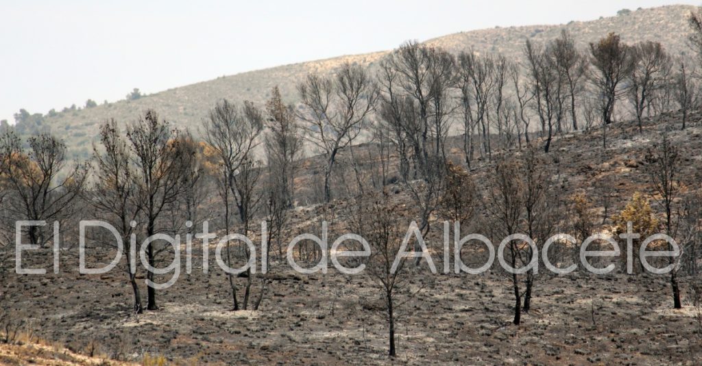 incendio lietor 2016 18