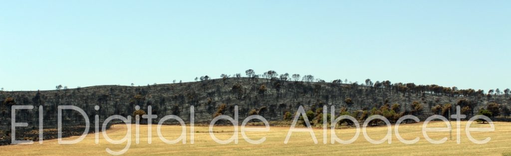 incendio lietor 2016 31
