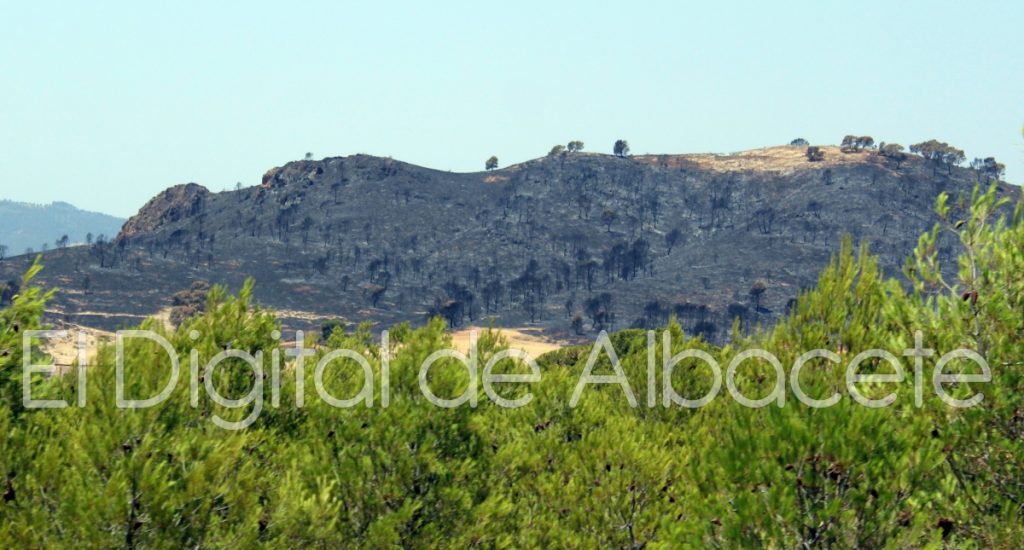 incendio lietor 2016 33