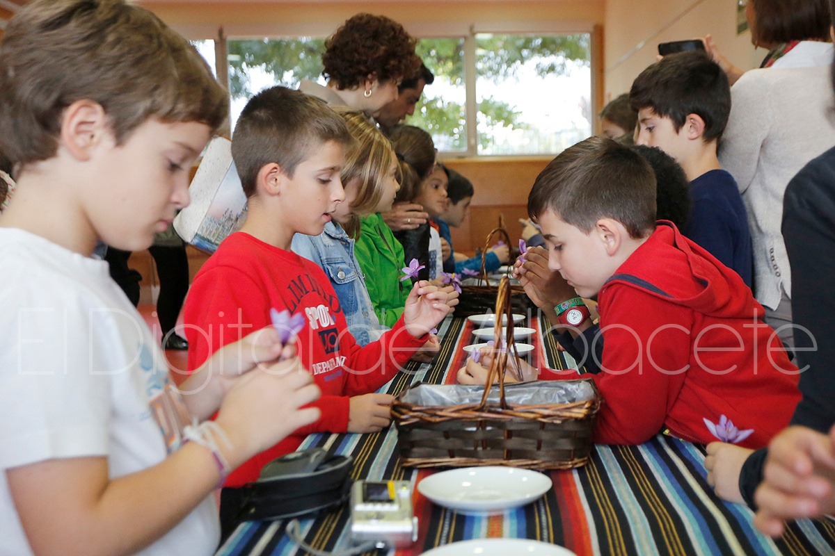 jornadas_azafran_noticia_albacete-07