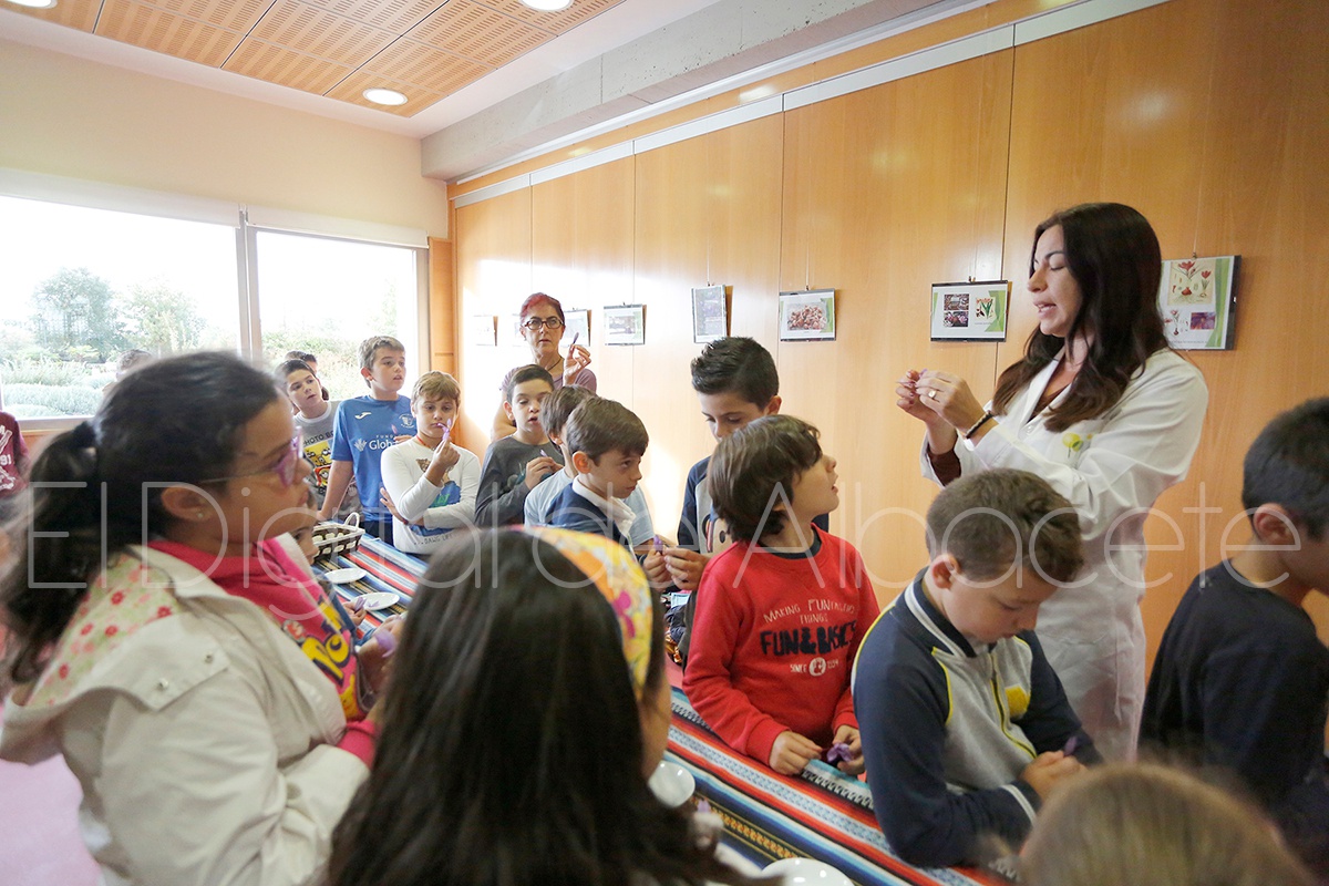 jornadas_azafran_noticia_albacete-11