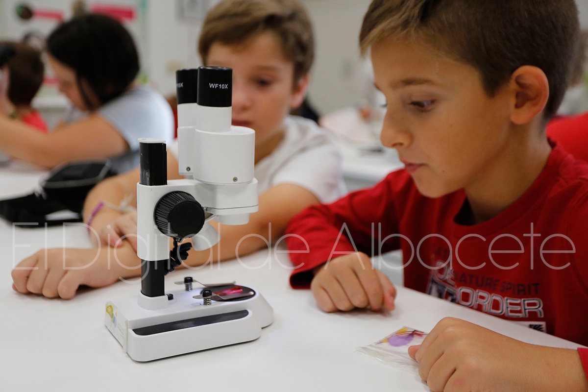 jornadas_azafran_noticia_albacete-26