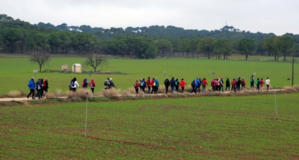 la-mancha-press_luis-vizcaino_1256