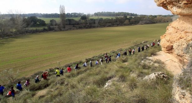 la-mancha-press_luis-vizcaino_2720