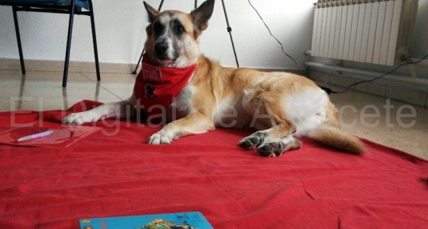 una-patrulla-canina-en-albacete-para-fomentar-la-lectura-3