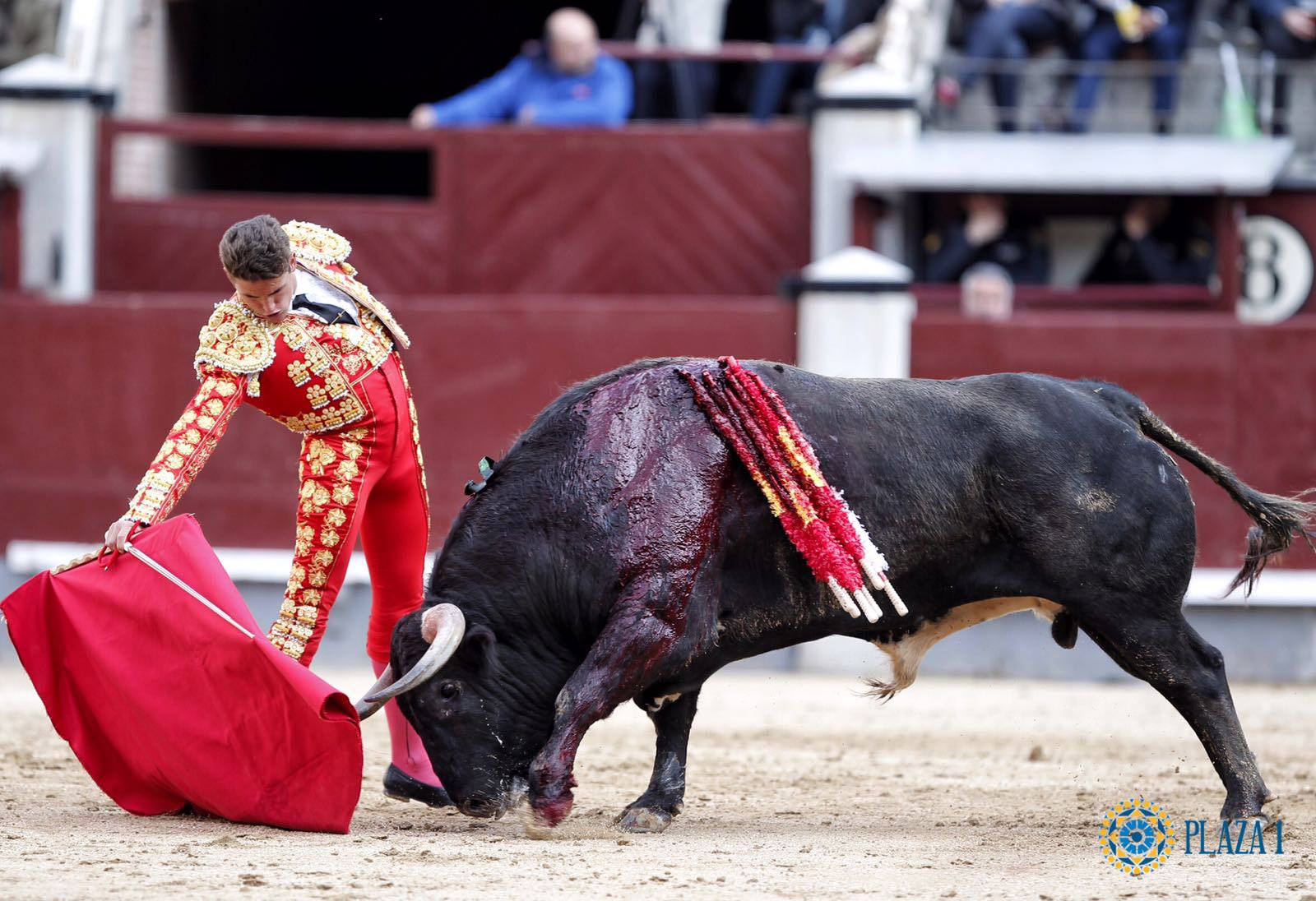 17546920_1248193001943476_1408090998004080961_o