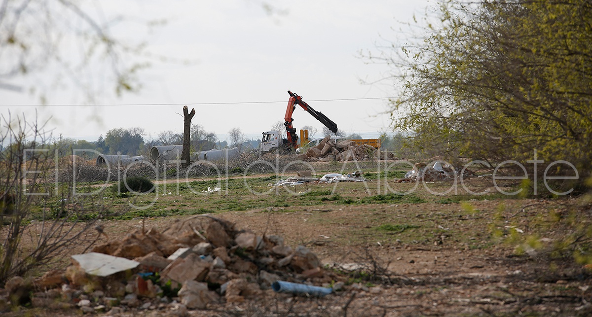 ARBOLES_OBRAS_AUTOVIA_A32_NOTICIA_ALBACETE 03