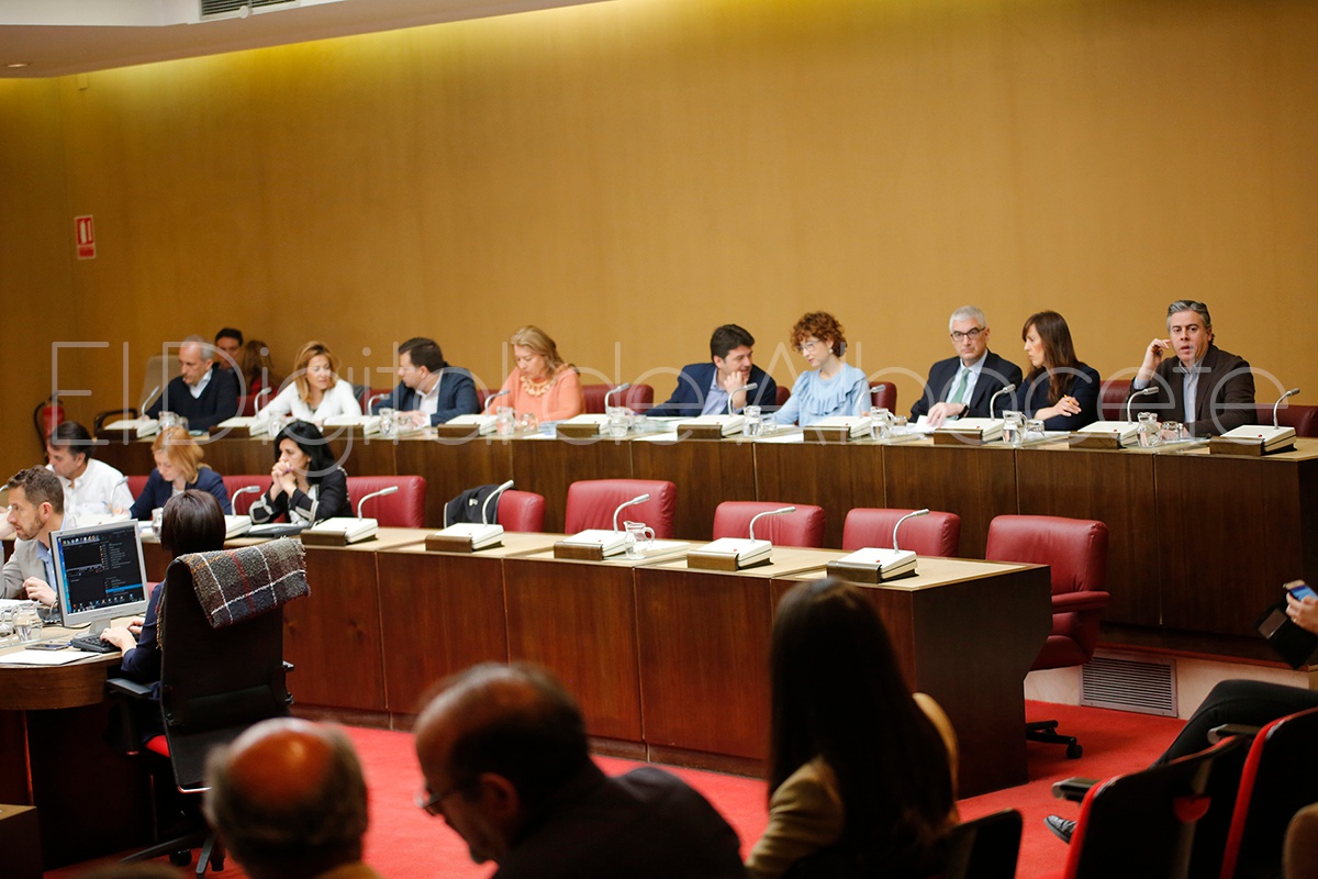 PLENO_MARZO_NOTICIAS_ALBACETE22