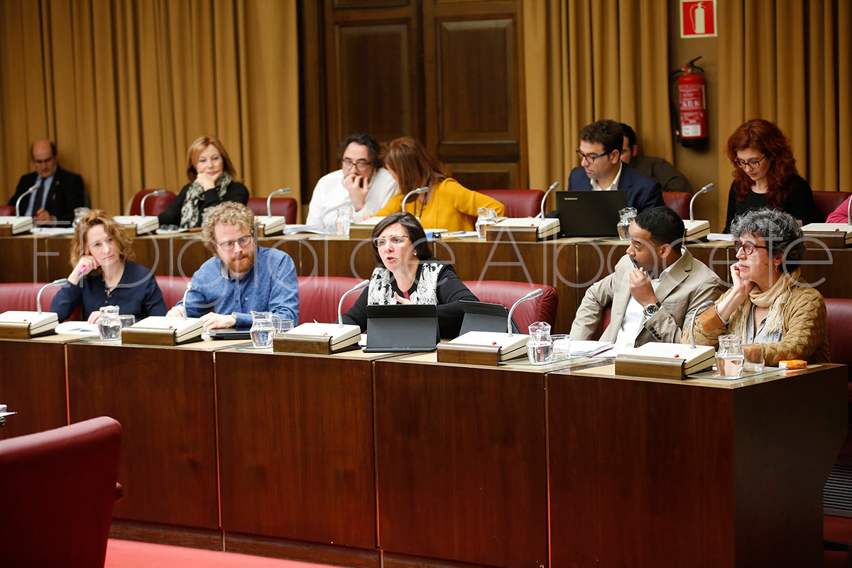 PLENO_MARZO_NOTICIAS_ALBACETE39