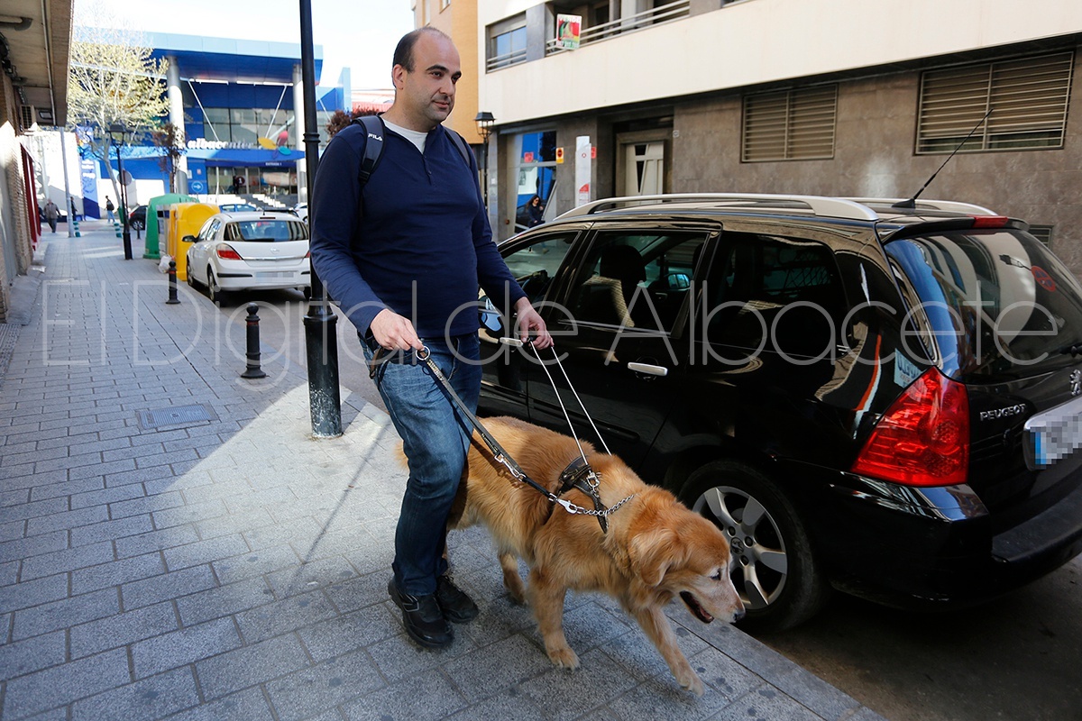 REPORTAJE_PERRO_ONCE_NOTICIA_ALBACETE 21