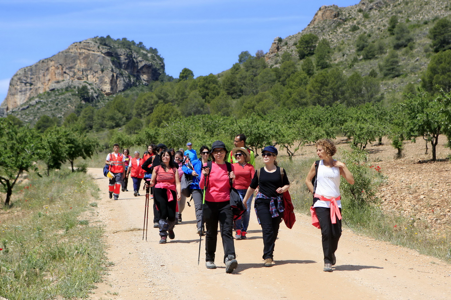 Elche de la Sierra_La Mancha Press_Luis Vizcaino_9258