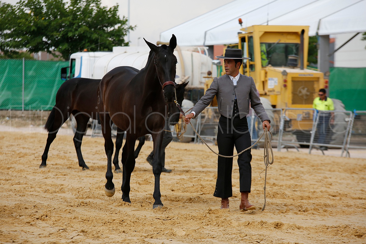 FERIA_EXPOVICAMAN_NOTICIA_ALBACETE 23