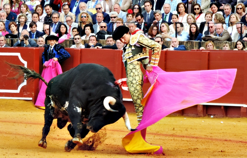 ROCA REY SEVILLA 3