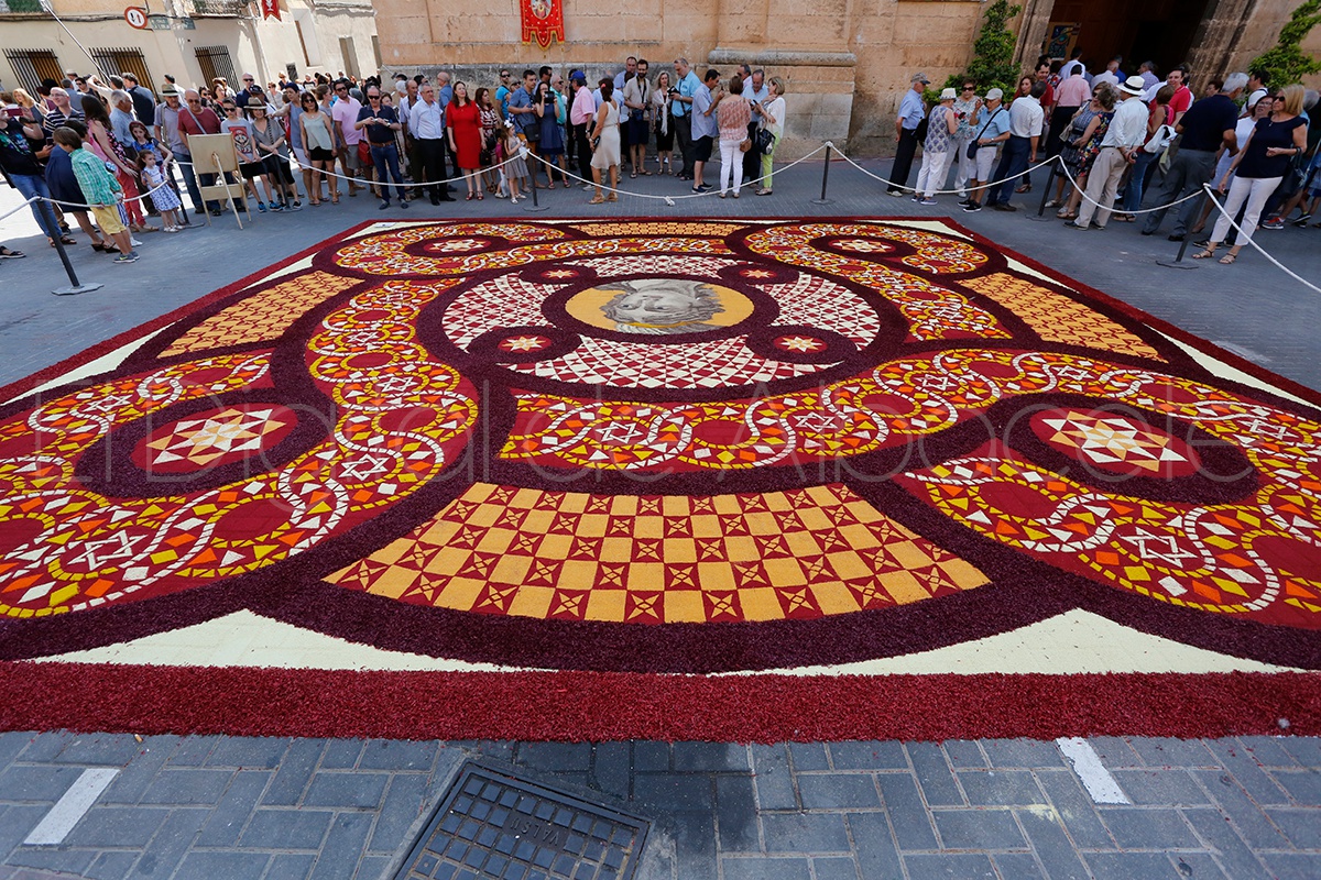 ALFOMBRAS_SERRIN_ELCHE_DE_LA_SIERRA_NOTICIA_ALBACETE 483