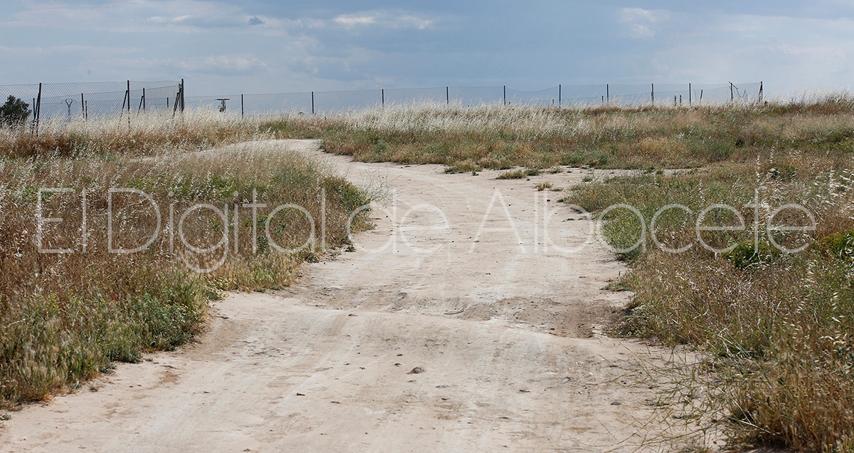 CAMPO_AGRICULTURA_SEQUIA_ALMENDROS_CEBADAS_TRACTOR_TIERRA_BARBECHO_TRIGO_ARCHIVO_ALBACETE 11