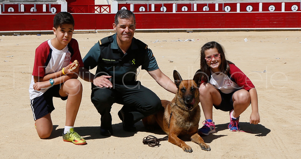 EXHIBICION_GUARDIA_CIVIL_NOTICIA_ALBACETE 133