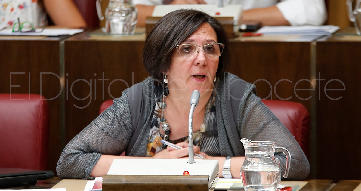 PLENO_JUNIO_2017_NOTICIA_ALBACETE 04