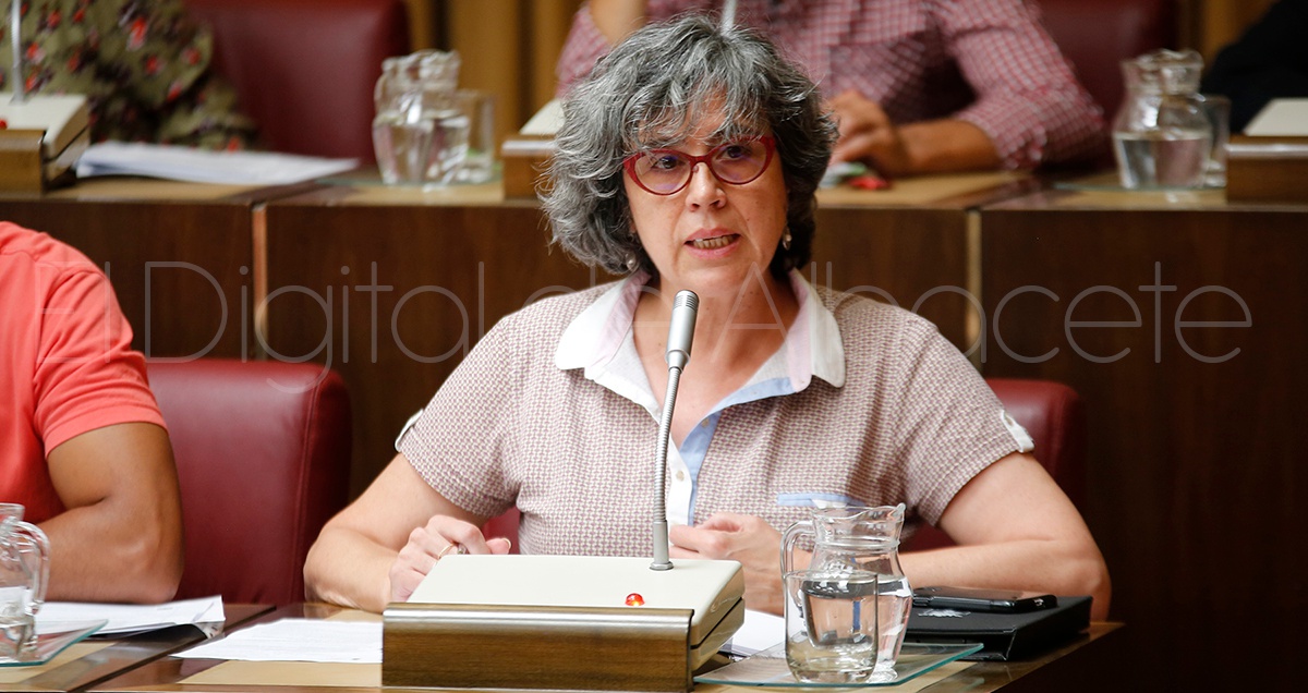 PLENO_JUNIO_2017_NOTICIA_ALBACETE 10