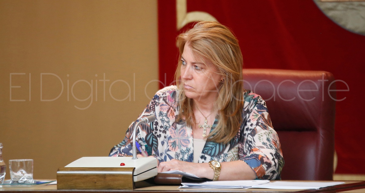 PLENO_JUNIO_2017_NOTICIA_ALBACETE 35