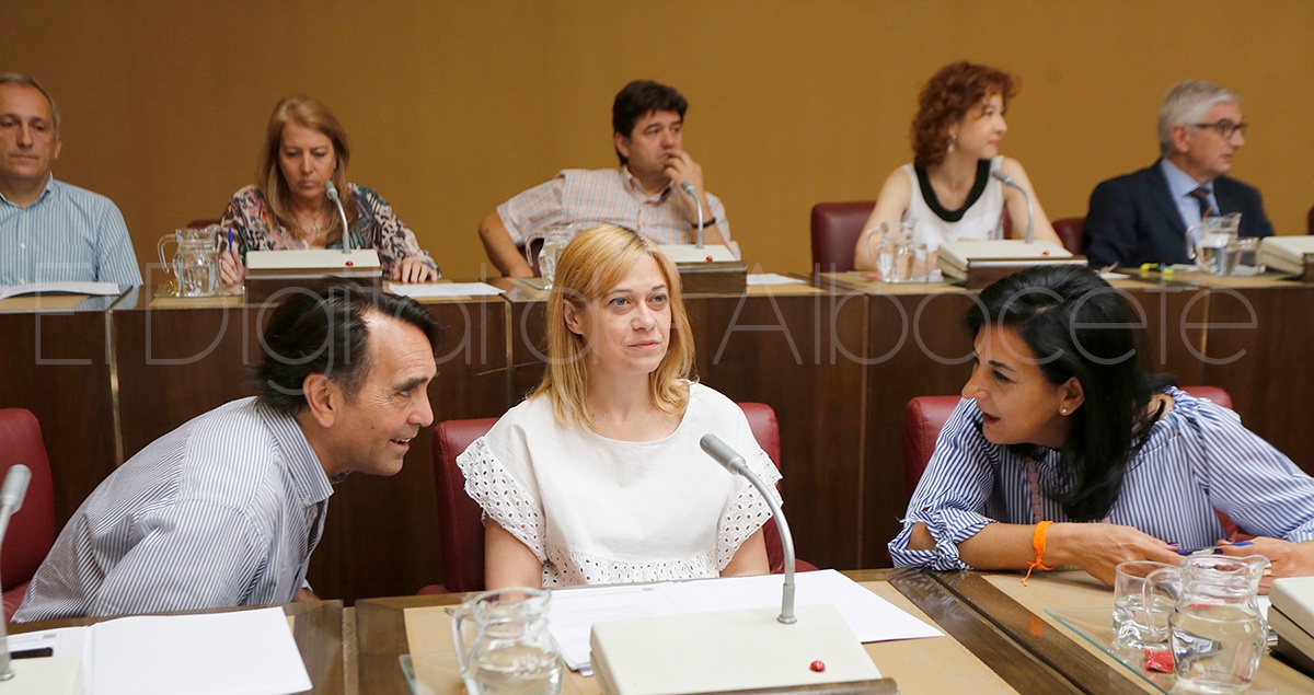 PLENO_JUNIO_2017_NOTICIA_ALBACETE 38