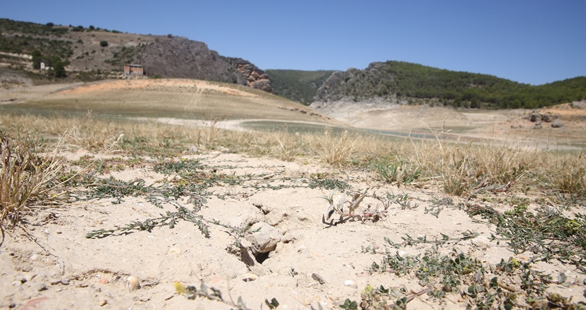 visita-el-pantano-de-entrepeas-en-sacedn_35693957506_o