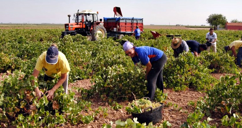 Noticias Castilla-La mancha